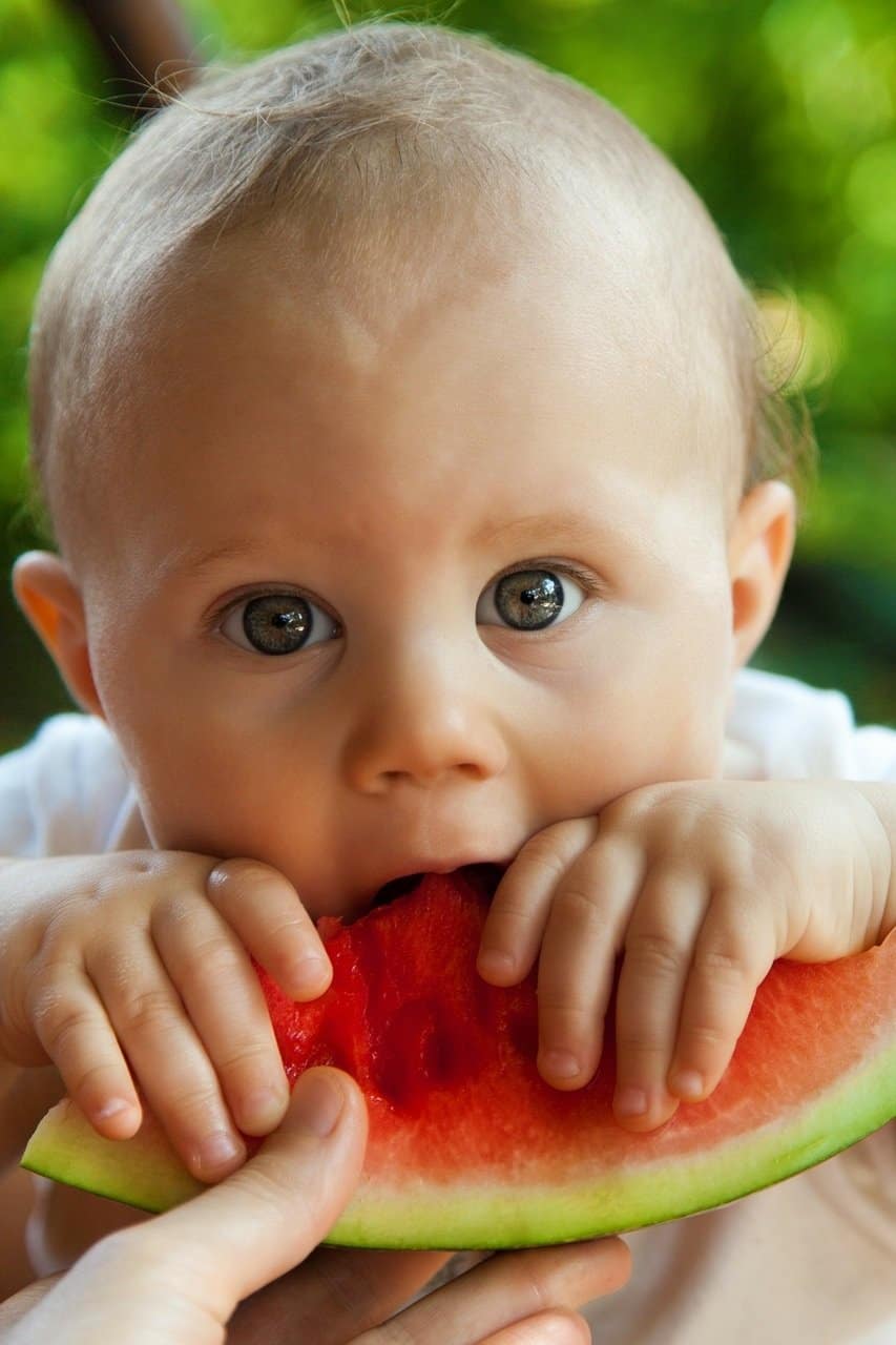 fussy_eater