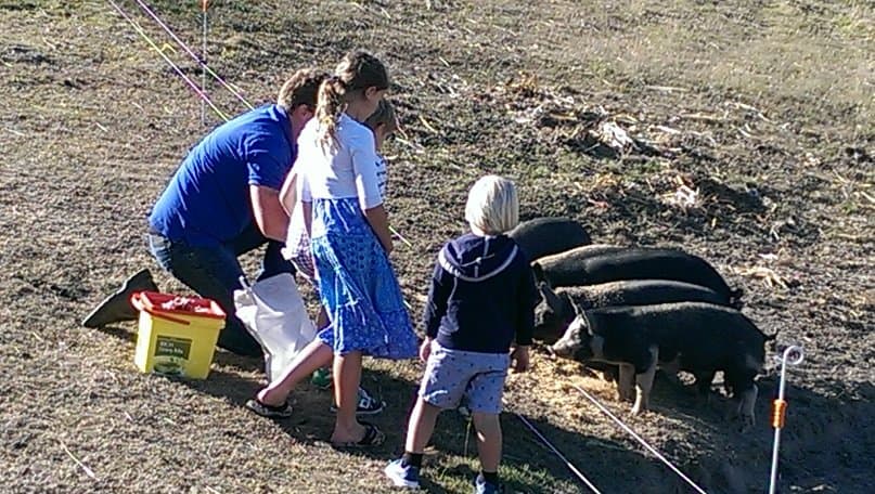 family-holidays-farm-stay