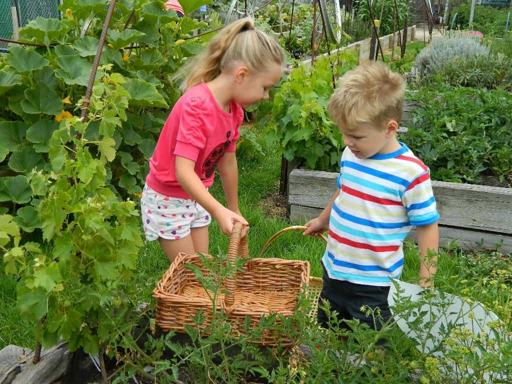 kids_gardening