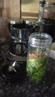 Breville Kinetix to Go