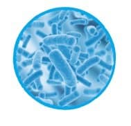 probiotics-healthy-diet