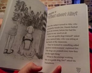 alby-and-the-cat-review