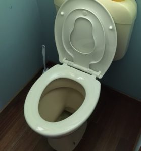 familoo-toilet-training-seat-open