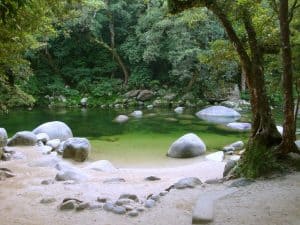 Mossman-Gorge-Cairns
