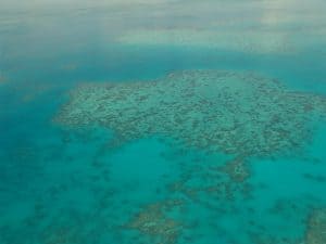great-barrier-reef-cairns