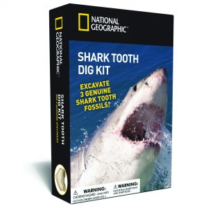 Shark Tooth Dig Kit