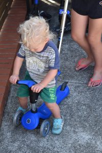 globber-evo-4-1-scooter-review