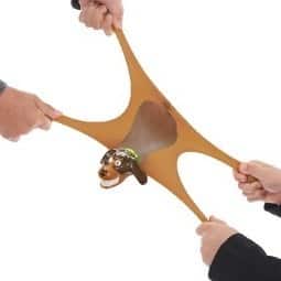 mini-fetch-toy-awards