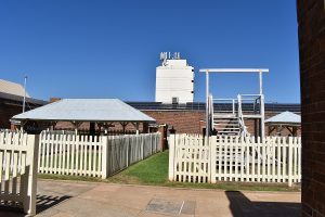 things-to-do-dubbo-family-attractions