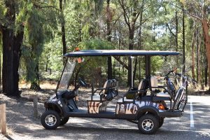 visiting-Dubbo-zoo-electric-cart