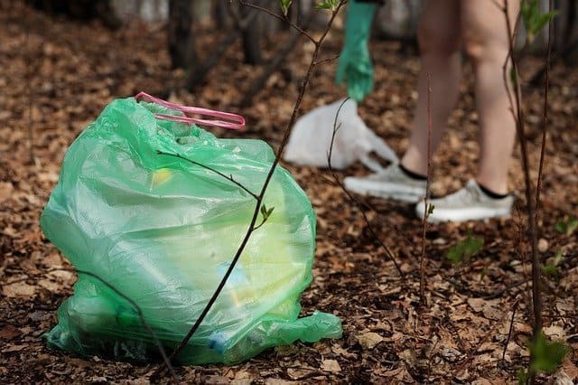 Green garbage bag in woods