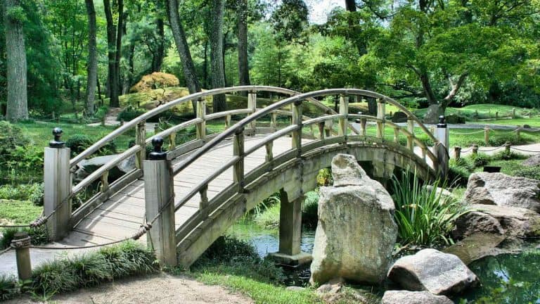 Japanese garden