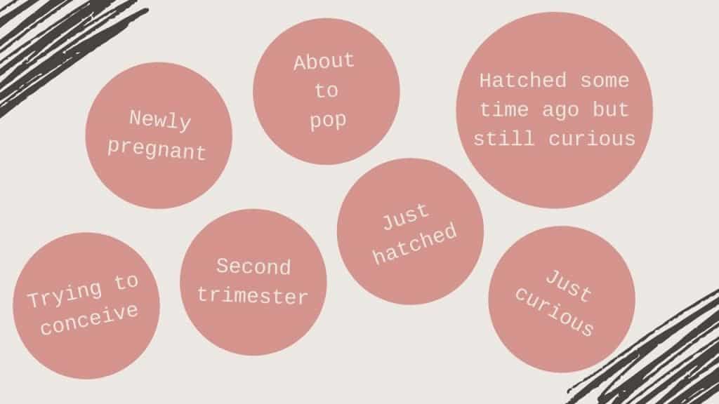 Text graphics