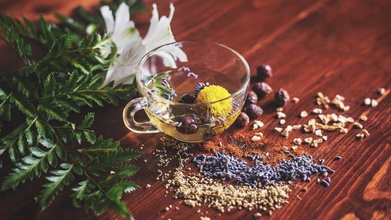 Benefits of Holistic Care for Different Illnesses