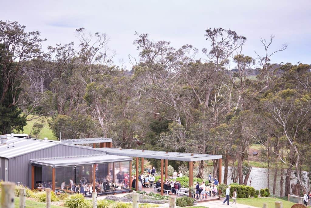 Green Olive at Red Hill