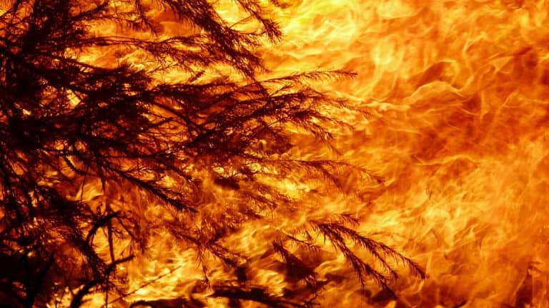 Ways To Prepare Your Home For a Bushfire