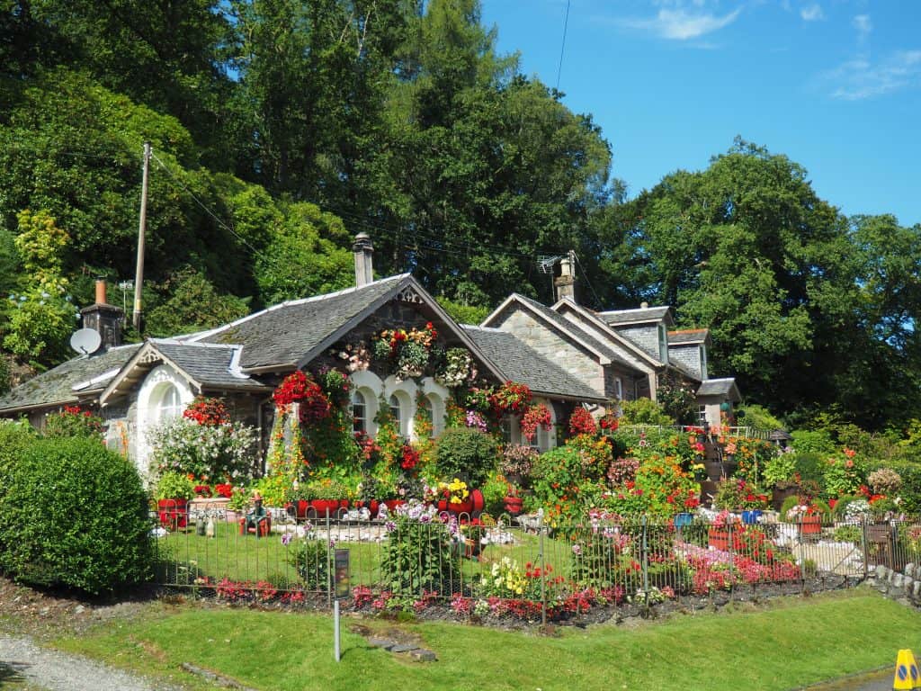 colorful garden with lots of flowers