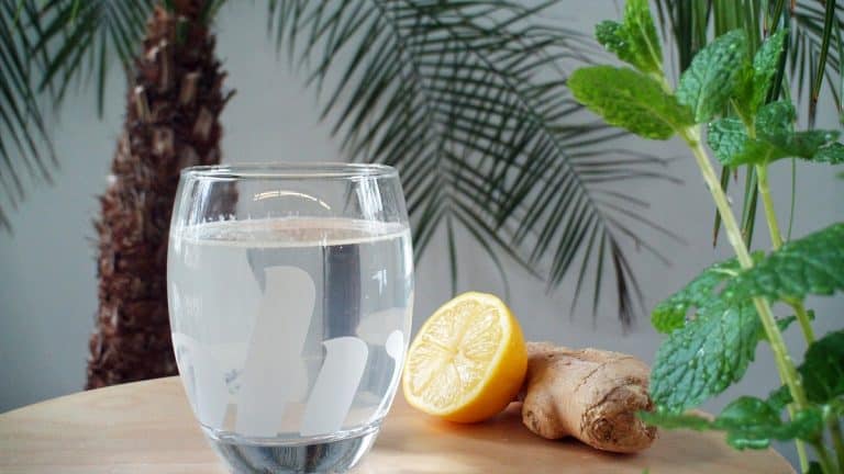 7 Delicious Drinks for Summer
