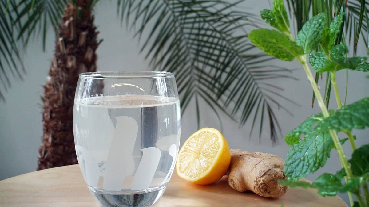 7 Delicious Drinks for Summer
