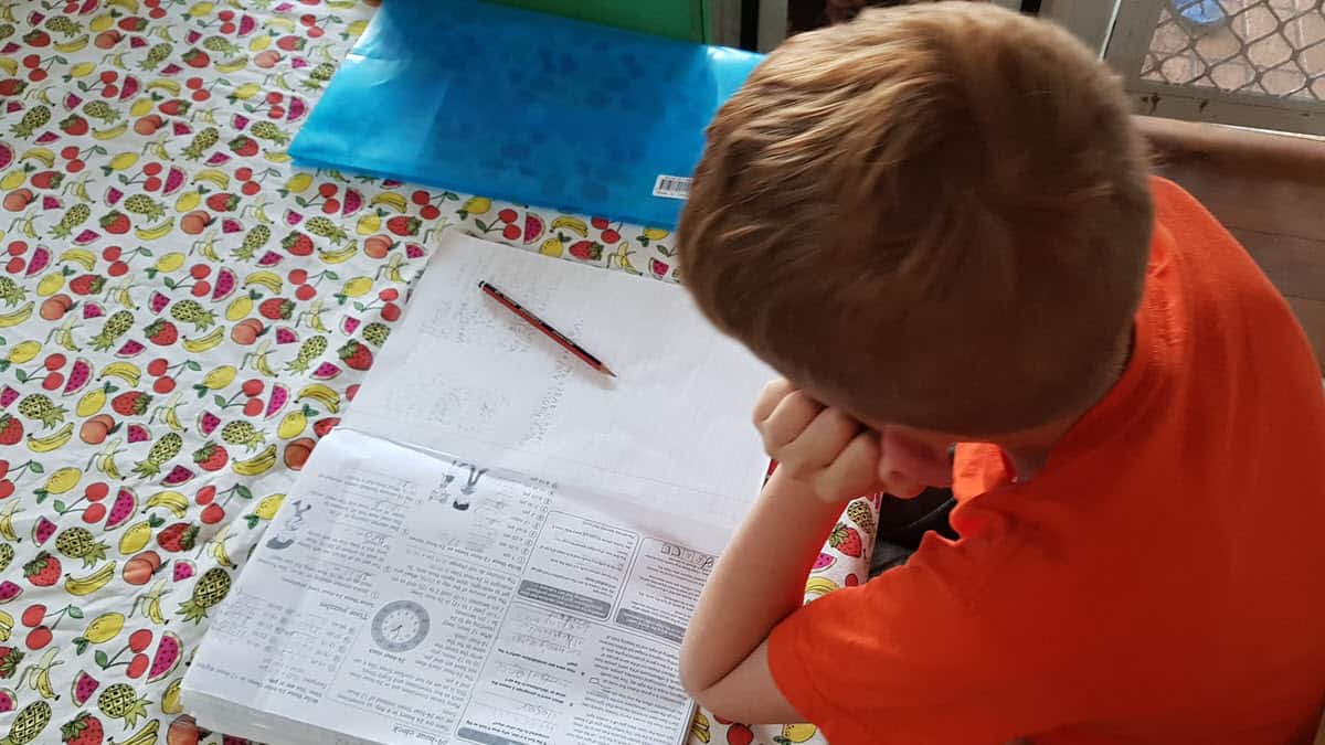 Cluey Learning Review