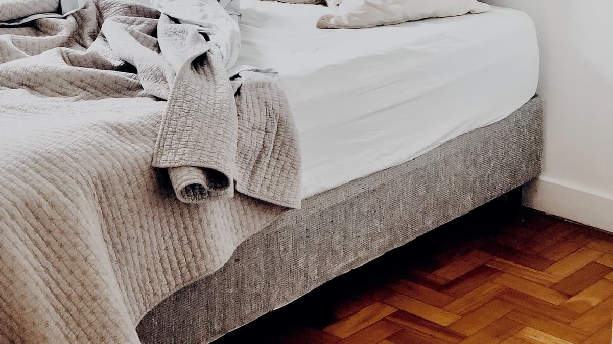 How Dangerous is Having Bed Bugs at Home