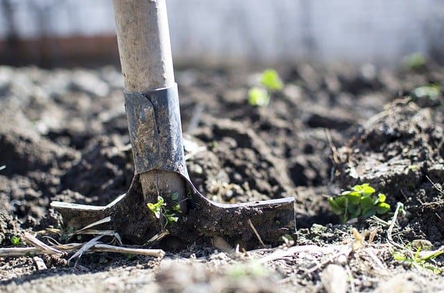 Organic cotton is better for soil health