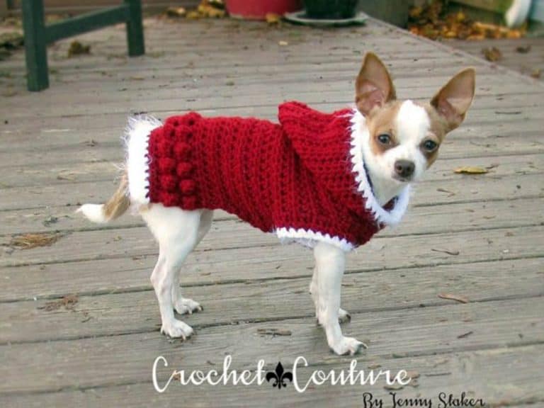 CROCHET DOG HOODIE PATTERN from Crochet News