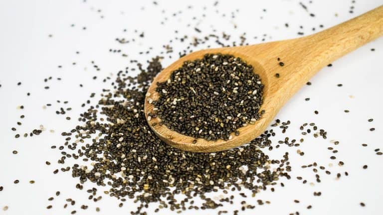 Chia seed recipes for weight loss