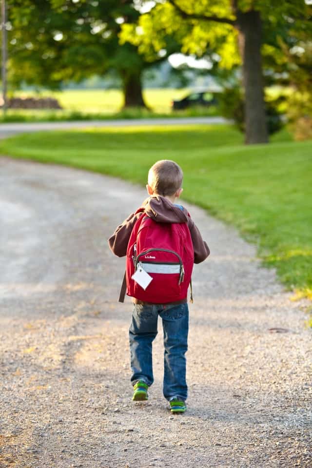 Curriculum aligned school trip