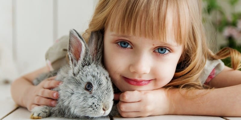 Emotional Support Animals may not be Allowed Everywhere
