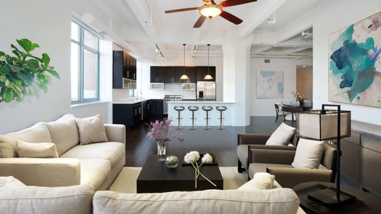 Essential Appliances When You Live in The City