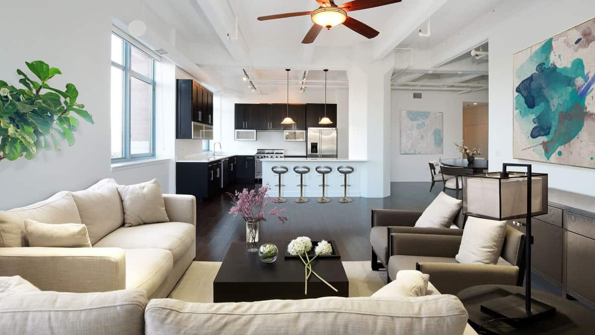 Essential Appliances When You Live in The City