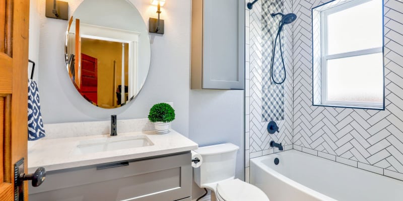 Toilet and Shower Leaks