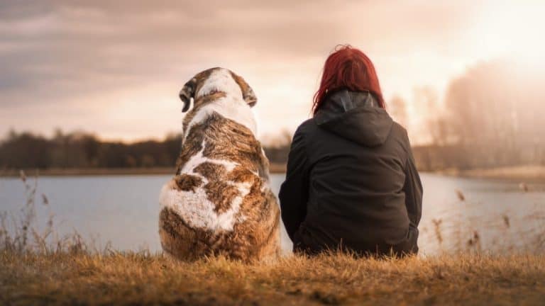 What You Need to Know About Having an Emotional Support Animal