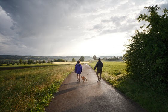Dog walks in Scotland