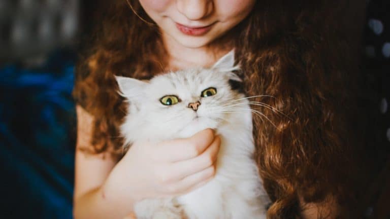 Teaching Your Child How to Take Care of a Pet