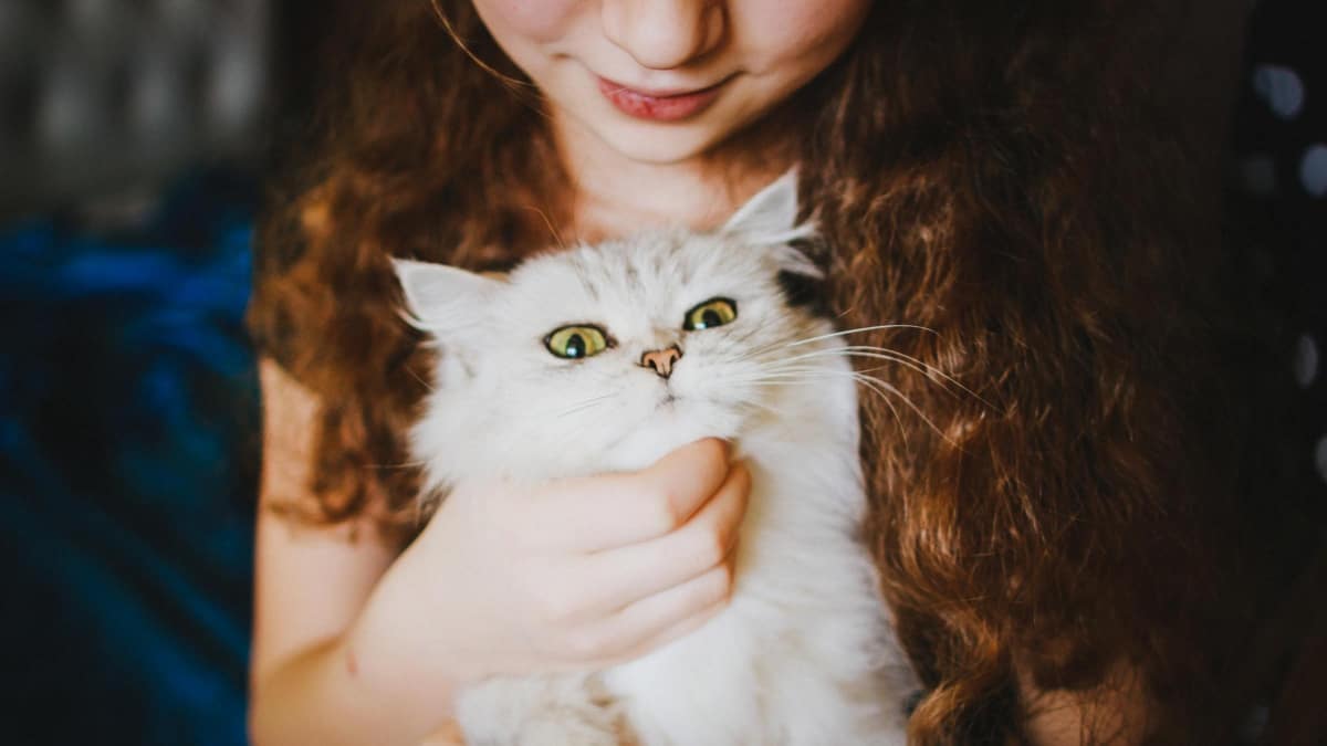 Teaching Your Child How to Take Care of a Pet