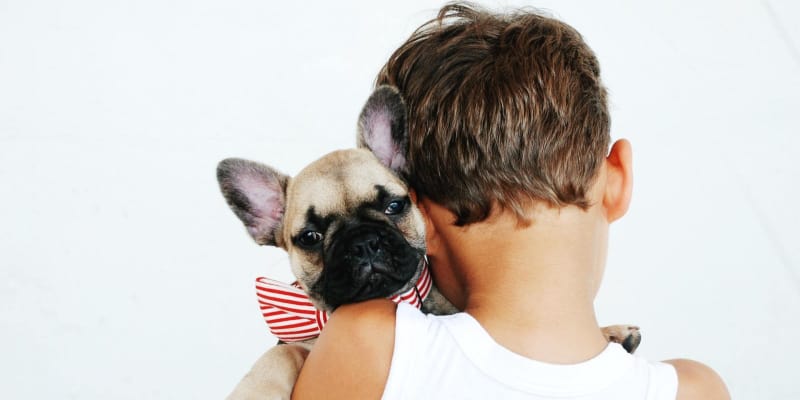Young boy hugging a dog