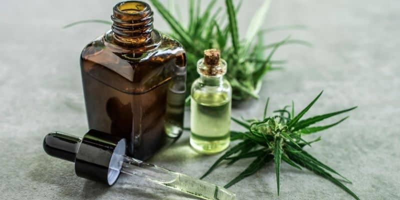 CBD oil and marijuana