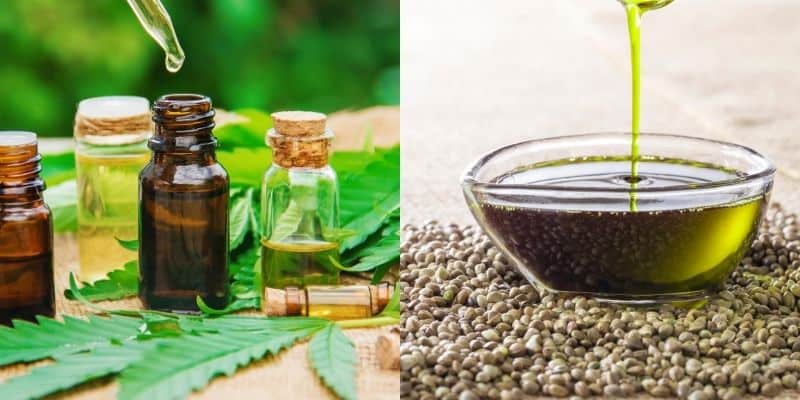 CBD Oil and Hemp Oil