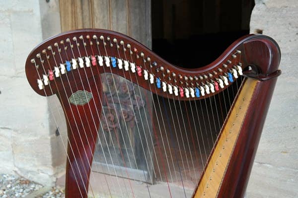 Harp is an unusual but excellent choice