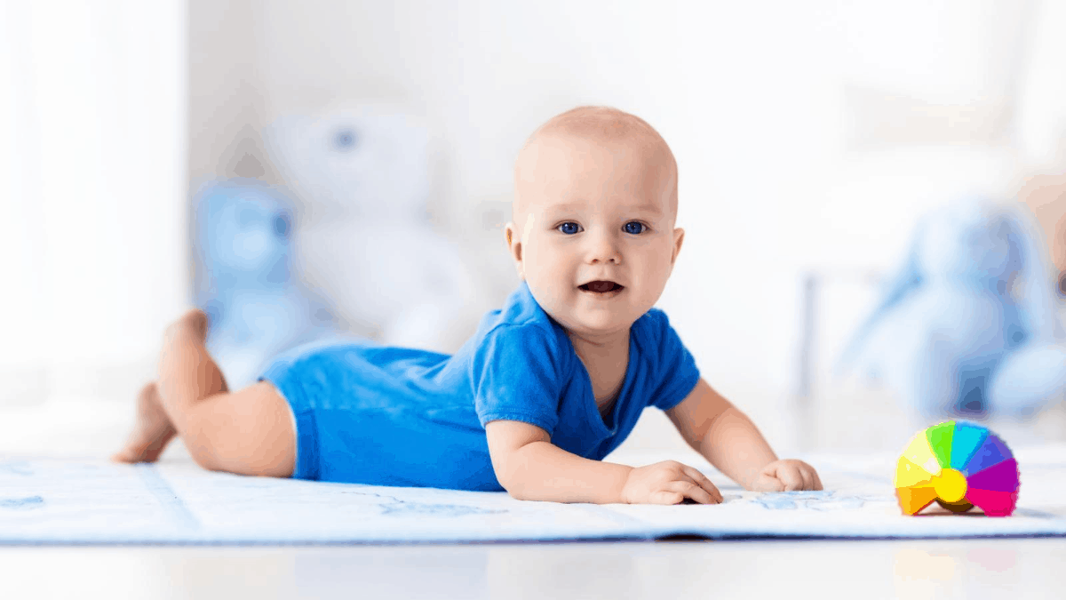 Best Toys for 6 Month Old Australia