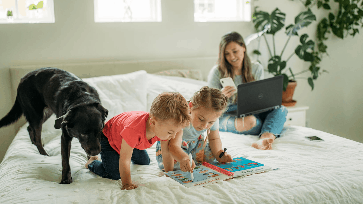 obs That Won’t Take You Away From Your Kids