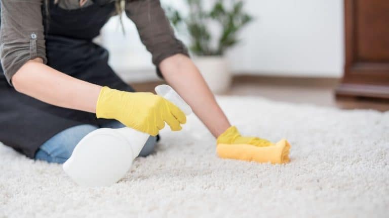 Best Carpet Cleaner Products Australia