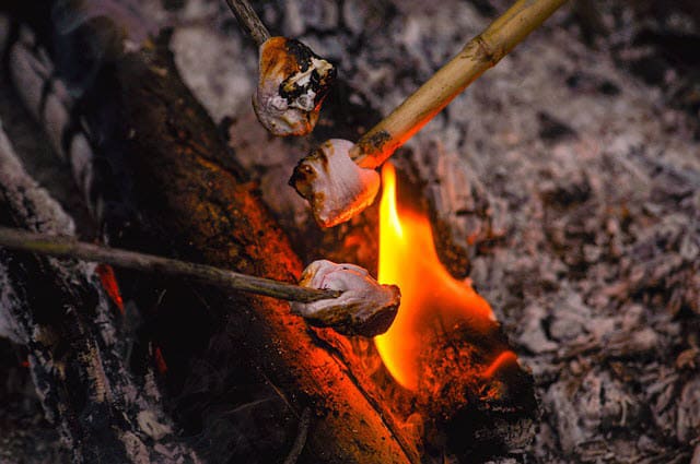 Marshmallows - open flame campfire cooking