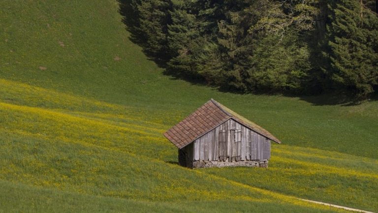 Important Factors to Consider When Building A Commercial Shed