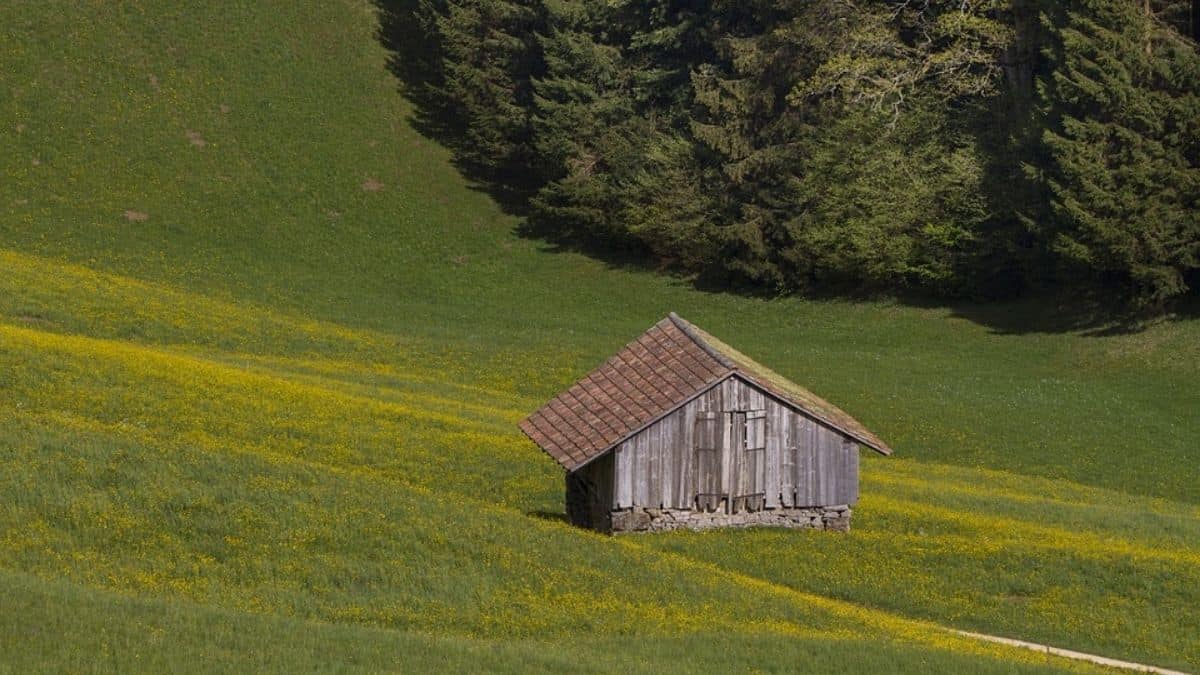 Important Factors to Consider When Building A Commercial Shed