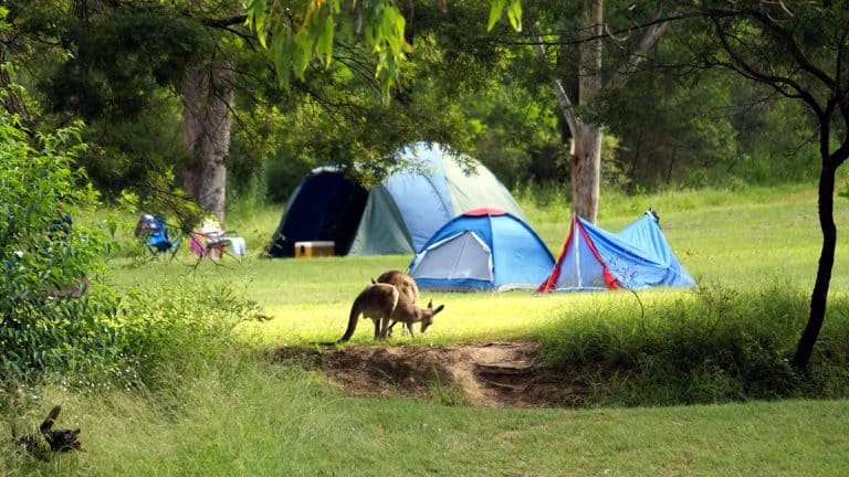 Best Family Tent Australia