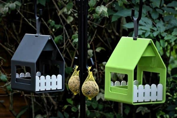 DIY bird feeders