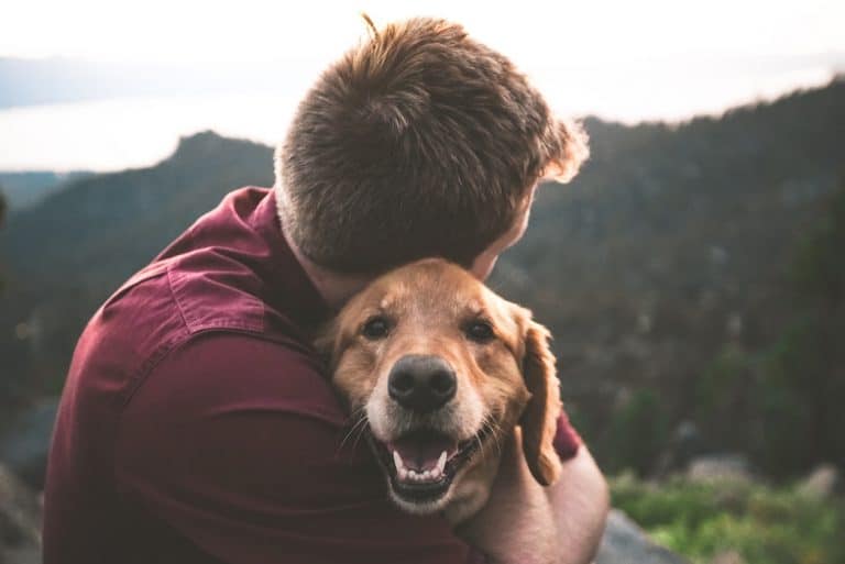 Dog Breeds That Love To Cuddle